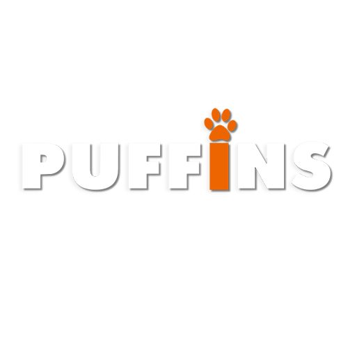 Puffins&nbsp;